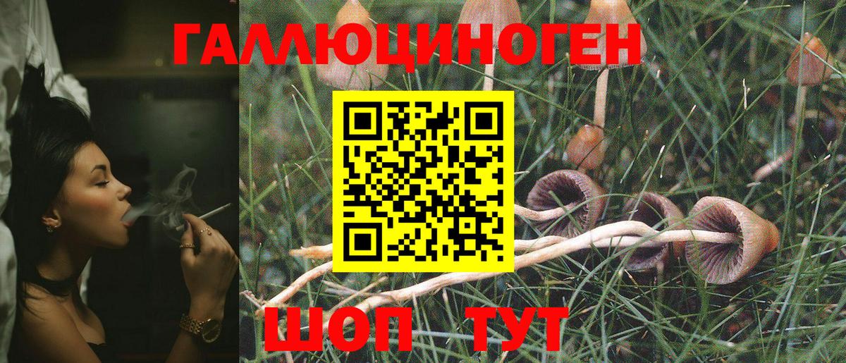 Галлюциногенные грибы MAGIC MUSHROOMS  Псилоцибиновые грибы Cubensis  Реутов  Вход с VPN 