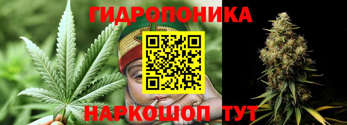 Реутов  МАРИХУАНА OG Kush  Вход с VPN  Бошки Шишки сатива  Конопля планчик 